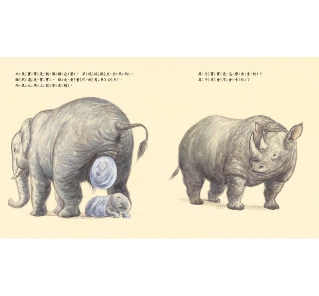 動物寶寶是怎麼出生的？